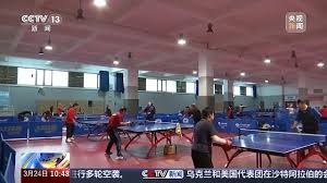 无器材跳跃练习田径